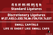 Whakatani Modern Font, a Slab Serif Font by Jadugar Design Studio (Thumbnail 6 of 10)