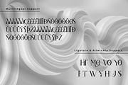 Voresca – A Modern Classy Serif Font, a Serif Font by overlaytemplates (Thumbnail 4 of 5)