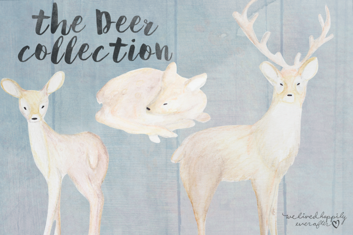 Watercolor Deer Digital Graphics, an Animal Illustration by WeLivedHappilyEverAfter (Photo 2 of 4)