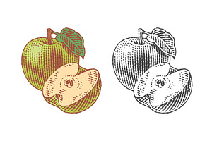 Green apple and apple tree leaf, a Food Illustration by Irina Trusova