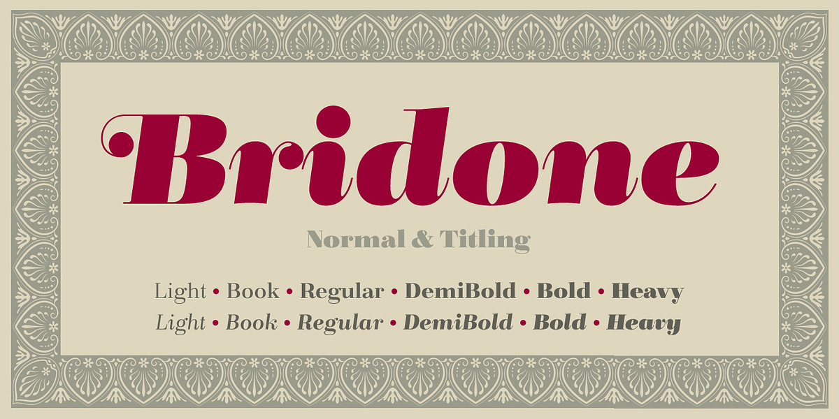 Bridone, a Serif Font by Tipo Pépel (Photo 1 of 7)