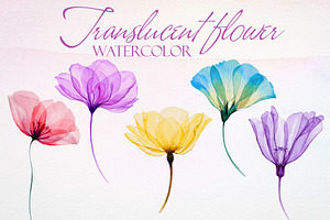 Watercolor Translucent Flower Vector