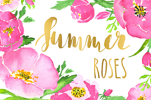 Pink roses watercolor clip art