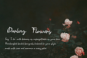 Bon Appetit Darling Pencil Script, a Handwritten Font by Kaya Fonts (Thumbnail 36 of 44)