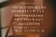 Shasti - Elegant Serif Font, a Serif Font by Aqeel_Art (Thumbnail 10 of 12)