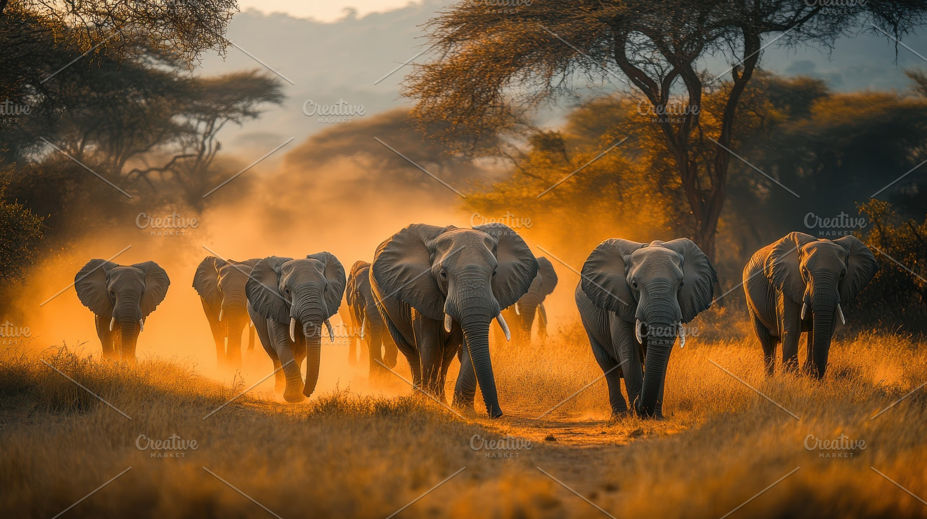Elephant herd in the savanna, bathed, an Animal Photo by Pixeness Studio