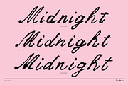 Leech TM – Romantic Script, a Script Font by Type Mania (Thumbnail 5 of 10)