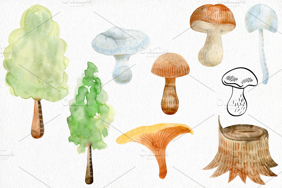 70% off. Bundle. Woodland animals., an Animal Illustration by TaPilipa (Photo 23 of 38)