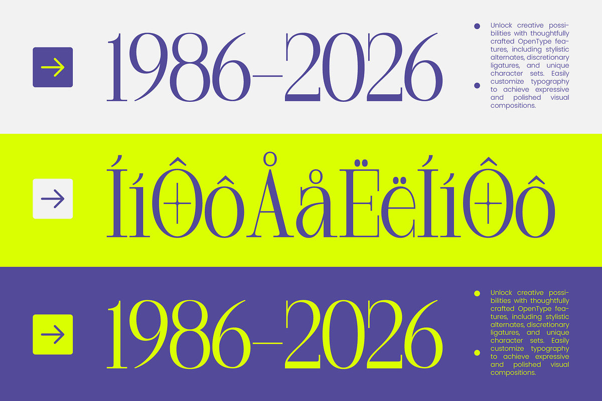 Margoise Modern Display Serif Font, a Serif Font by timelesstype.co (Photo 6 of 10)