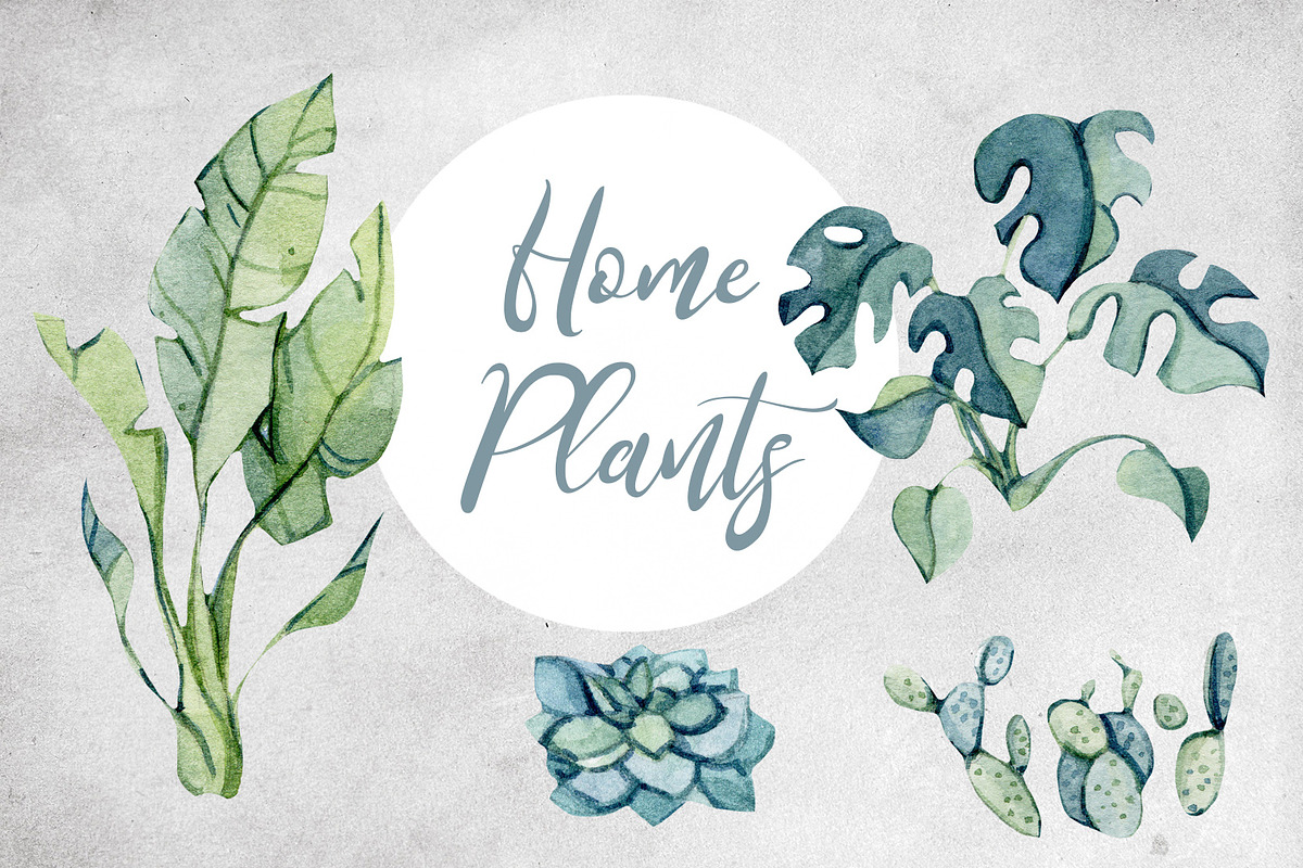 Watercolor set HOME JUNGLE, a Decorative Illustration by S_ARTLOVE (Photo 4 of 11)