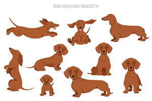 Dachshund Smooth Clipart