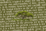 Eternalo Bold Luxury Modern Serif, a Serif Font by timelesstype.co (Thumbnail 17 of 20)