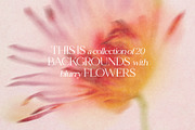 The Blurry Flowers, a Background Graphic by NKate (Thumbnail 2 of 14)