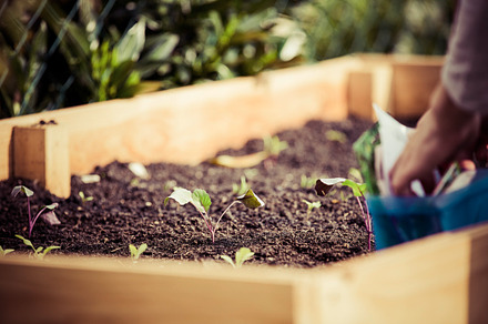 Urban Gardening Containing Urban Garden And Urban Gardening preview 5