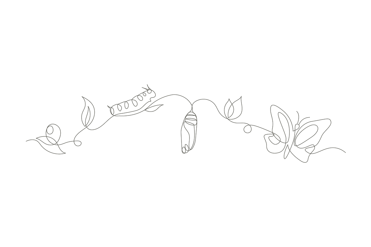 butterfly nature cycle, an Object Graphic by lawoel (Photo 3 of 3)