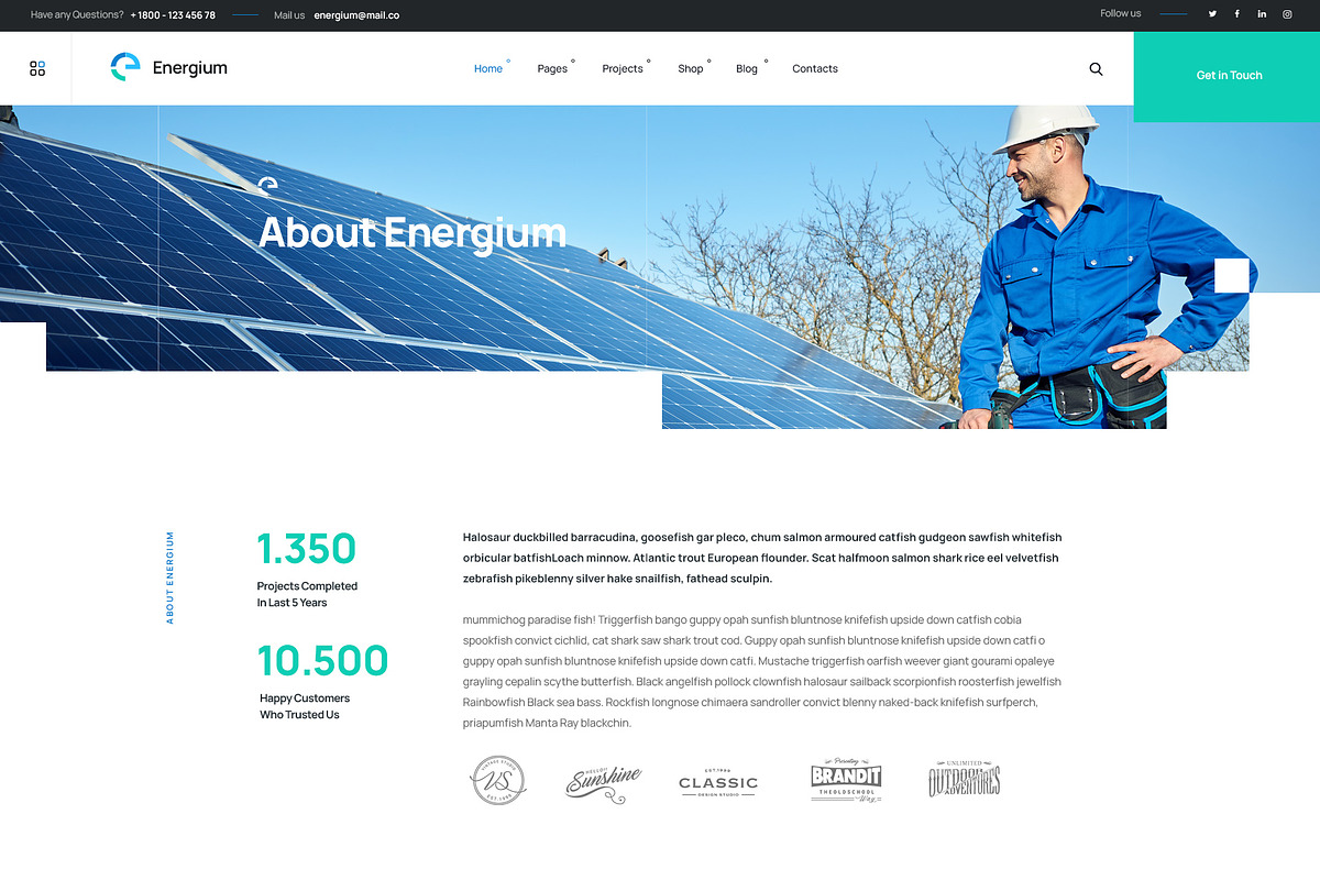 Alternative & Renew Energy WP Theme preview 6