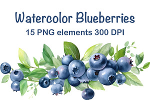 Watercolor Blueberries Clipart