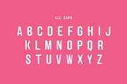 Curvos +Bonus Badge | 30% Off!, a Font by The Good Store (Thumbnail 2 of 10)