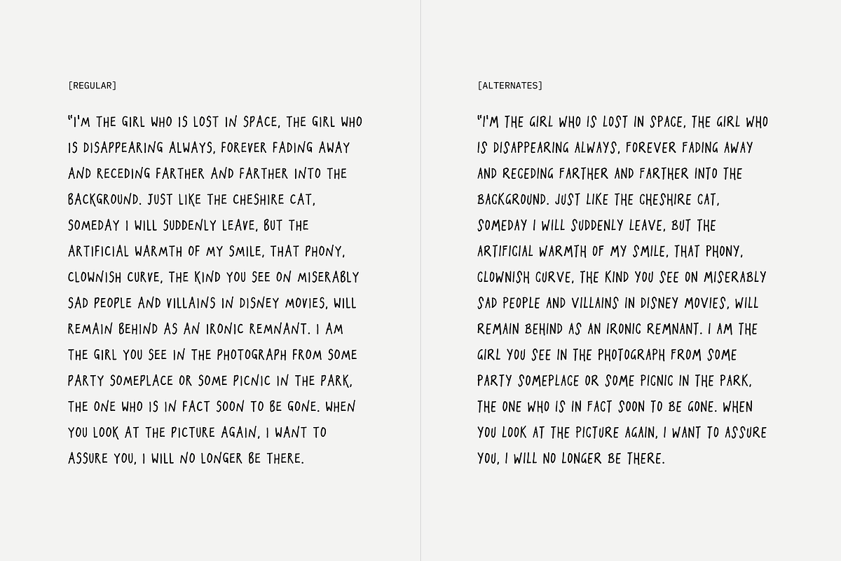 Stolen Hand Marker Font, a Handwritten Font by TYPEHEIST (Photo 4 of 10)