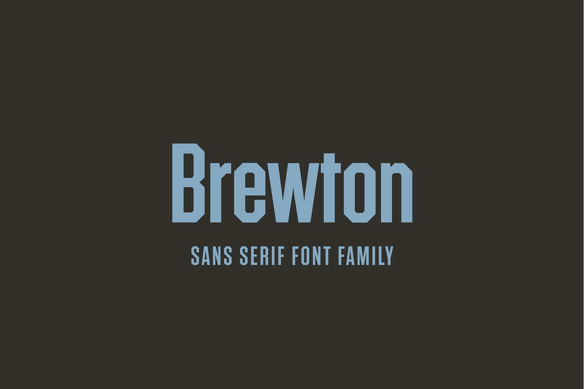 Brewton — Vintage Sans Display Font, a Sans Serif Font by Inlay Studio (Photo 1 of 8)