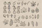 Procreate Autumn Doodle Stamps Brush, a Brush Add-On by Dervik Art Store (Thumbnail 3 of 5)