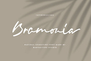 Bramonia Natural Signature Font, a Handwritten Font by RantautypeStudio (Thumbnail 1 of 17)