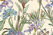 Lilacism Floral Seamless pattern, a Pattern Graphic by Fabrivo (Thumbnail 1 of 10)