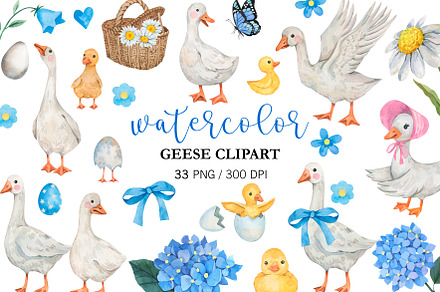 Watercolor Geese Clipart PNG, an Animal Illustration by PatternPalette