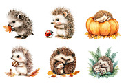 Watercolor Hedgehog & Hoglet Clipart, an Illustration by CreationArt (Thumbnail 2 of 5)