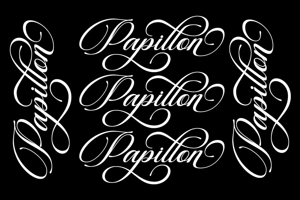 Beautiful Heliography Script, a Script Font by Has_rizal (Photo 3 of 12)