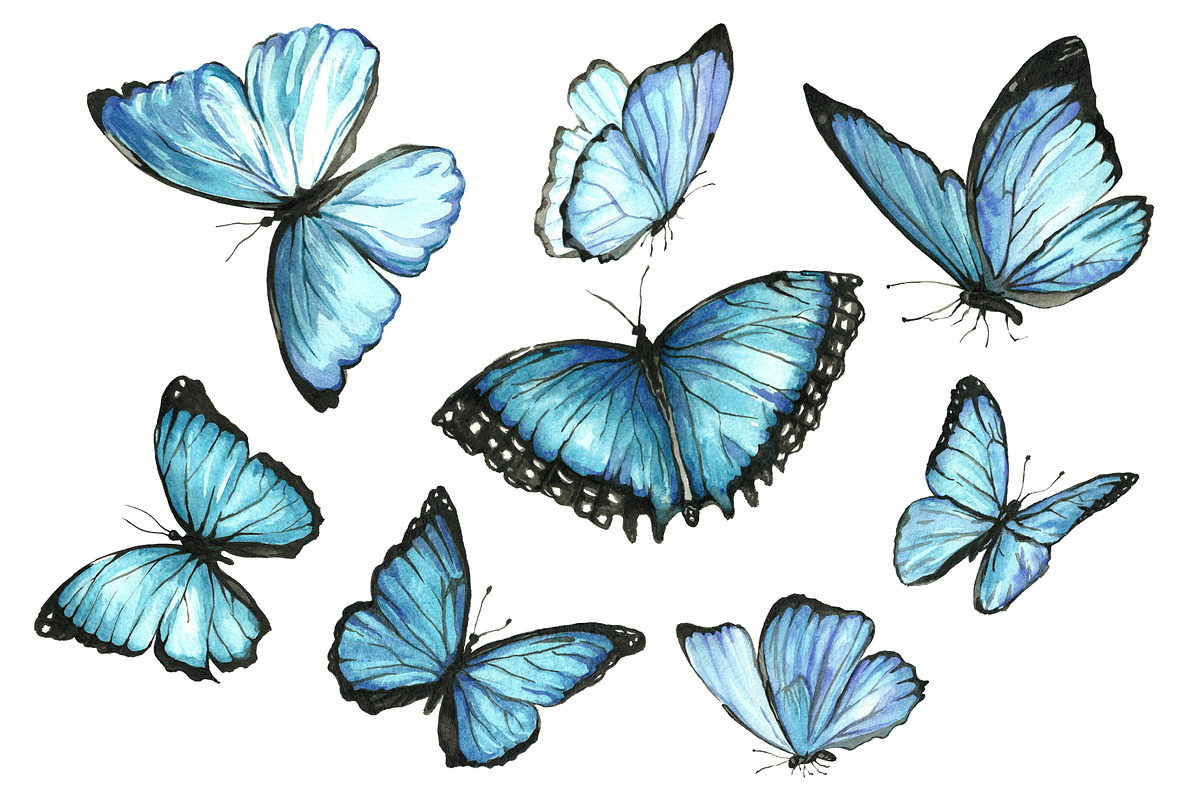 Set of watercolor blue butterflies, an Illustration by Art Watercolor (Photo 6 of 6)
