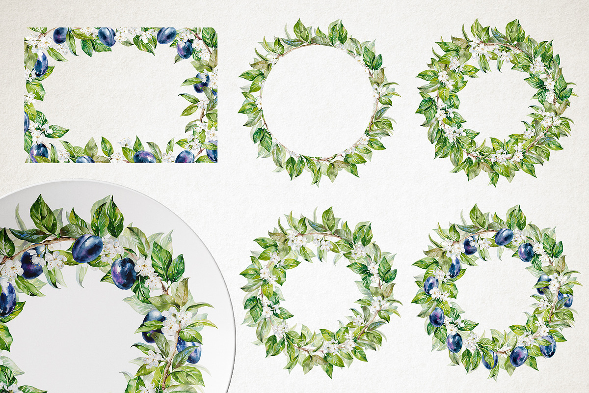 Blooming plum watercolor clipart, a Decorative Illustration by Eva Kleinman (Photo 7 of 14)