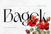 Bagek - Modern Display Serif, a Serif Font by Nirmana Visual (Thumbnail 1 of 8)