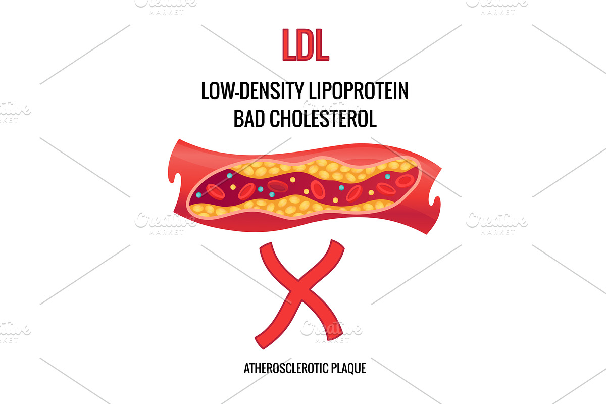 Type of cholesterol in human, a Healthcare Illustration by Things for designers
