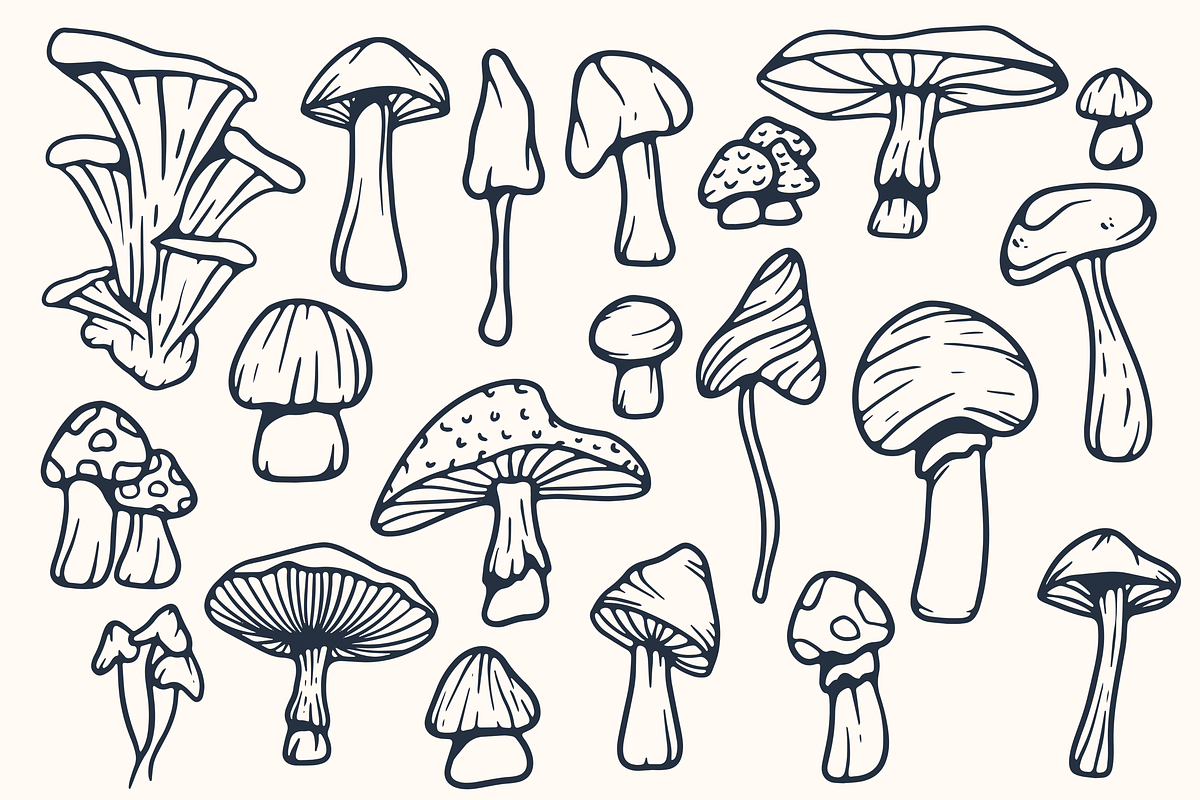 Wild Mushroom - Vector Illustrations, a Graphic by Jessica Tyson Design (Photo 2 of 4)