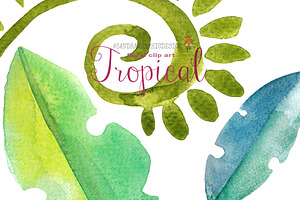 Tropical Floral Clip Art