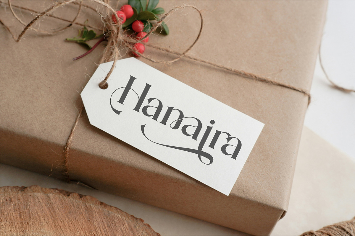 Ranima - Modern Ligature Typface, a Serif Font by AnnofaType (Photo 2 of 8)