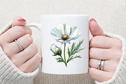 Wedding White Cosmos Flower Clipart, an Illustration by Sublimation Artist (Thumbnail 5 of 6)