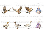 Watercolor Goose Clipart, Cute Geese, an Animal Illustration by BrushstrokeArtGB (Thumbnail 2 of 9)