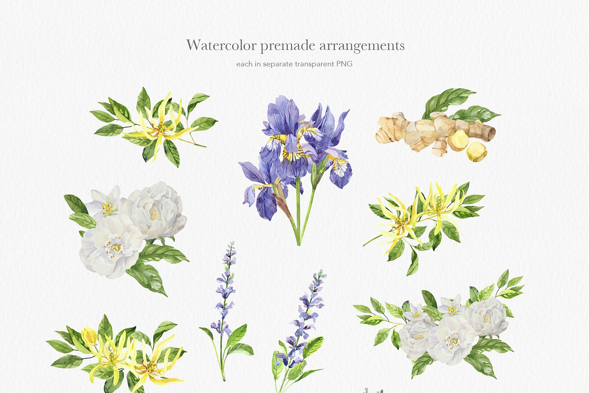 Essential Oils Botanical watercolor, a Healthcare Illustration by Volha Studio (Photo 6 of 11)
