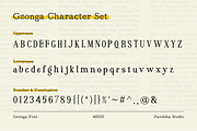 Gzonga - Retro Charm Serif, a Serif Font by Pandeka Studio (Thumbnail 9 of 9)