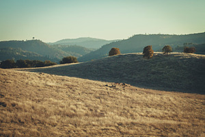 Cronan ranch trail 2 featuring hills, california, and norcal