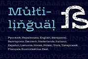 Gora Rough, a Slab Serif Font by Russian Fonts (Thumbnail 8 of 9)