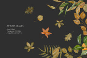 Fall watercolor illustrations, a Seasonal Illustration by AS Studio (Thumbnail 5 of 5)