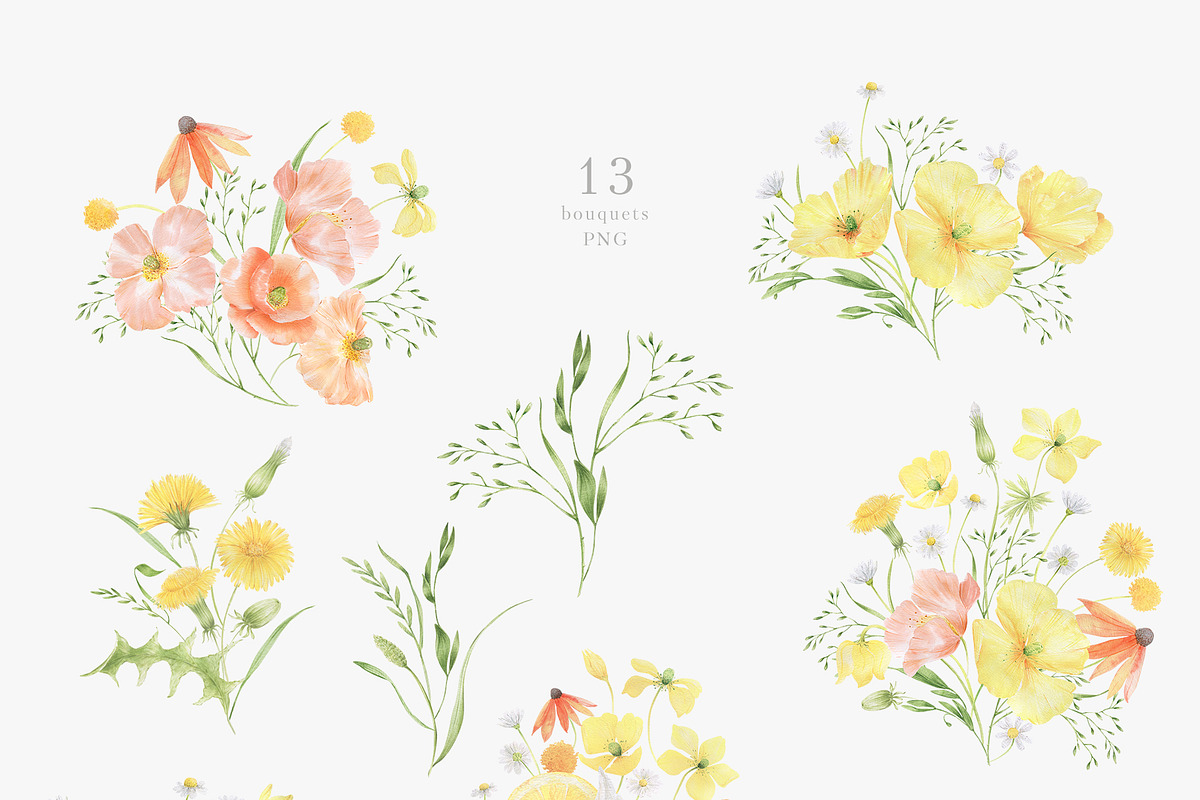 Wildflowers, poppies and herbs, a Food Illustration by astelenadesign (Photo 6 of 19)