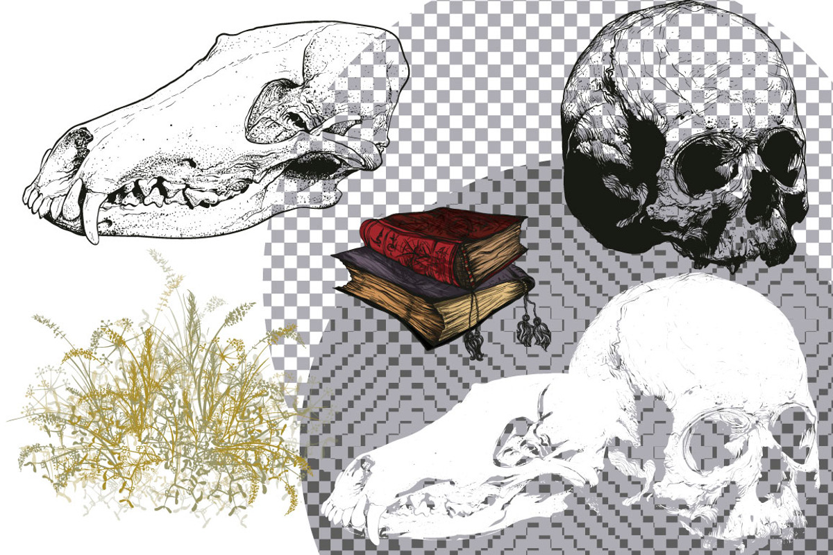 Skull, an Object Graphic by ArtOwl (Photo 7 of 10)