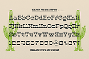 Abron Clinton | Western Slab Serif, a Slab Serif Font by gracetype_studio (Thumbnail 10 of 12)