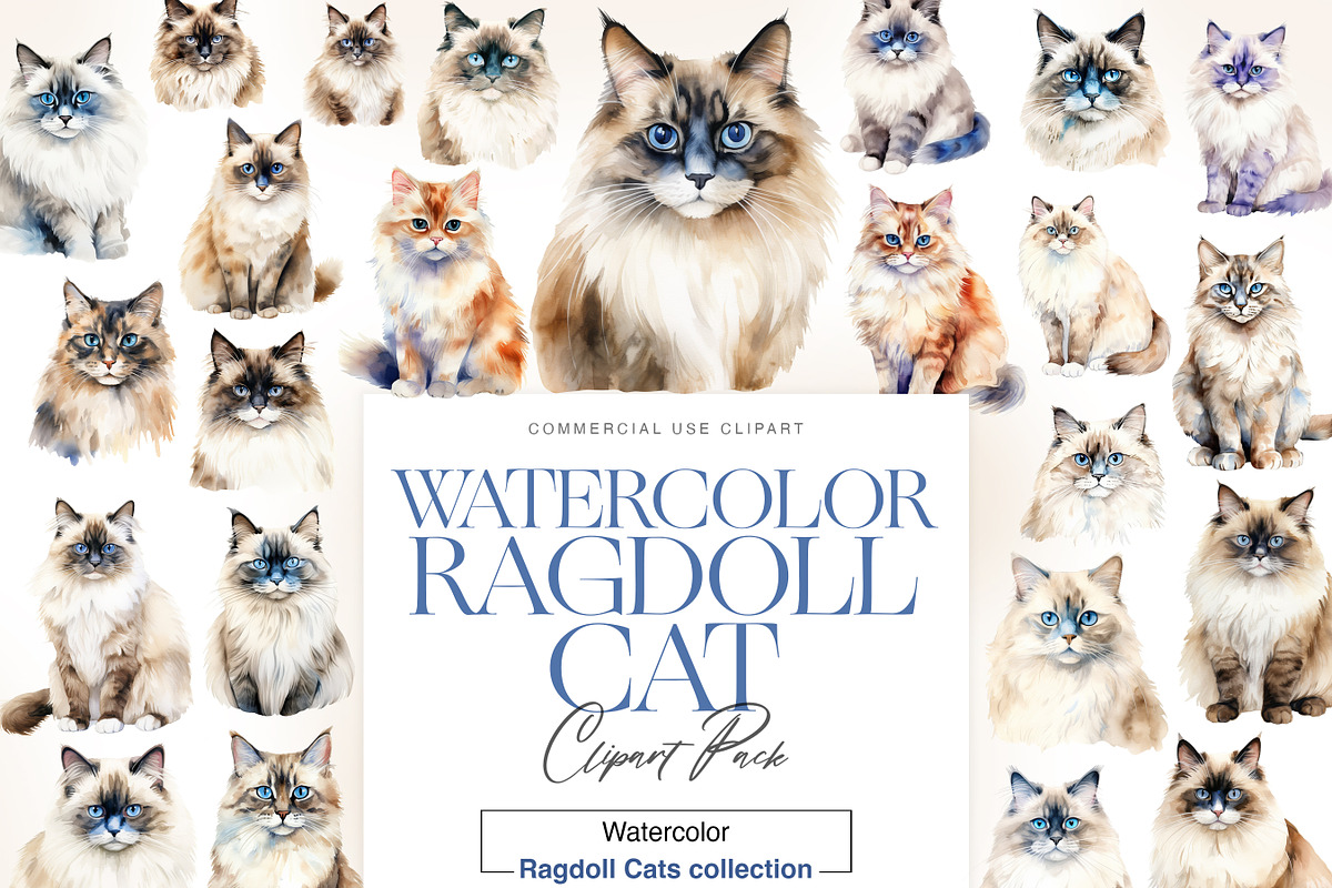Ragdoll Cat Clipart, Ragdoll Kittens, an Animal Illustration by BrushstrokeArtGB (Photo 1 of 9)