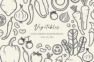 Hand Drawn Vegetable Illustrations