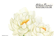 White peonies watercolor clipart, an Illustration by OlDm_Shop (Thumbnail 4 of 10)